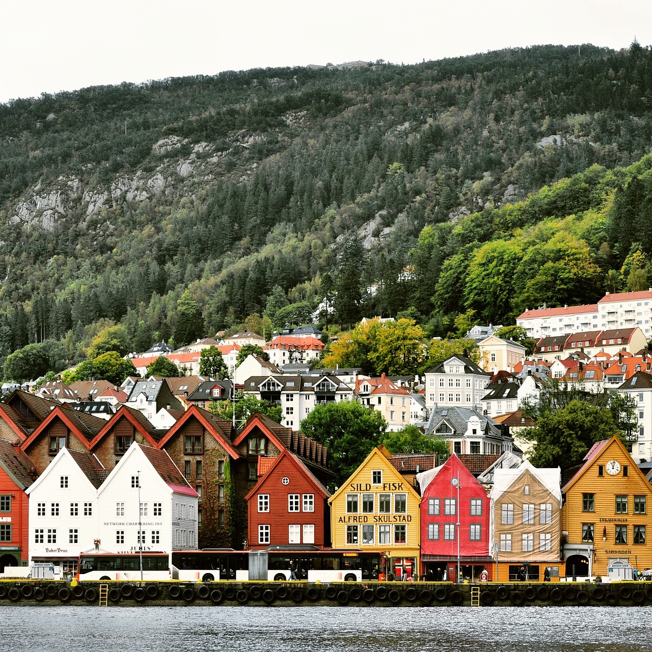 Découverte Complète de Bergen et des Fjords en 7 Jours